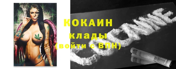 кокс Белокуриха